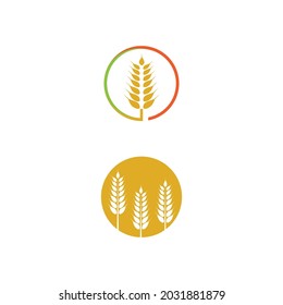 Agriculture wheat vector icon design 