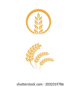 Diseño de iconos de vectores de trigo agrícola 