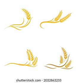 Agriculture wheat vector icon design 