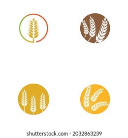 Agriculture wheat vector icon design 