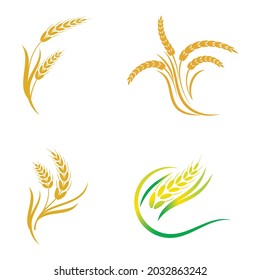 Agrarweizen-Vektorsymbol-Design 