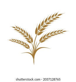 Agriculture wheat vector icon design 
