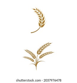 Agriculture wheat vector icon design 