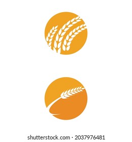Agriculture wheat vector icon design 