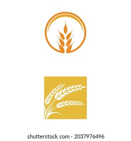 Agriculture wheat vector icon design 