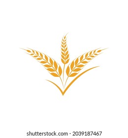Agriculture wheat vector icon design 