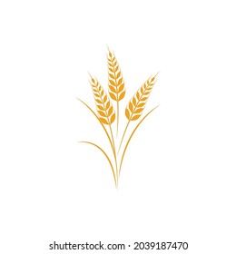 Agriculture wheat vector icon design 