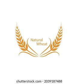 Agriculture wheat vector icon design 