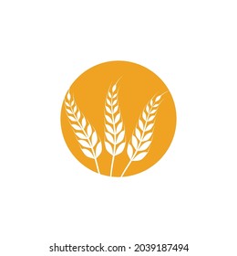 Agriculture wheat vector icon design 