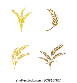 Agriculture wheat vector icon design 