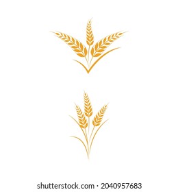 Diseño de iconos de vectores de trigo agrícola 