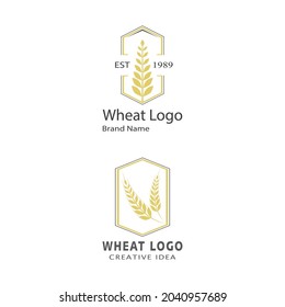 Agriculture wheat vector icon design 
