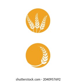 Agriculture wheat vector icon design 