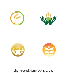 Agriculture wheat vector icon design 