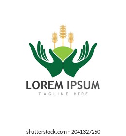 Agriculture wheat vector icon design 