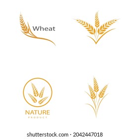 Agriculture wheat vector icon design 