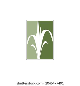 Agriculture wheat vector icon design 