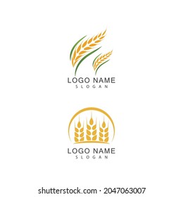 Agriculture wheat vector icon design 