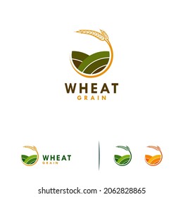 Agriculture wheat vector icon design