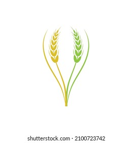 Diseño de iconos de vectores de trigo agrícola 