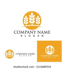 Agriculture wheat vector icon design 