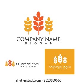 Agriculture wheat vector icon design 