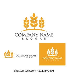 Agriculture wheat vector icon design 
