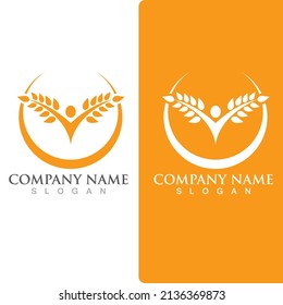 Diseño de iconos de vectores de trigo agrícola 