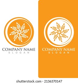 Agriculture wheat vector icon design 