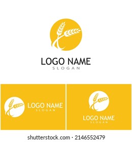Agriculture wheat vector icon design 