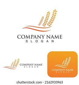 Agriculture wheat vector icon design 