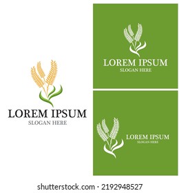 Agriculture wheat vector icon design 
