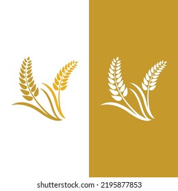 Agriculture wheat vector icon design 