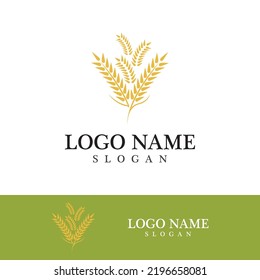 Agriculture wheat vector icon design 