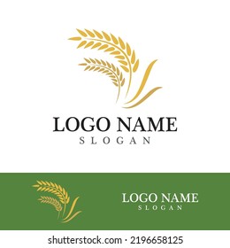 Agriculture wheat vector icon design 