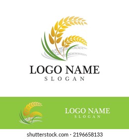 Agriculture wheat vector icon design 