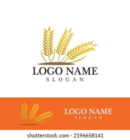 Agriculture wheat vector icon design 