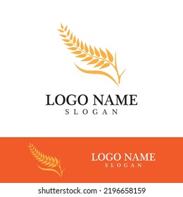 Agriculture wheat vector icon design 