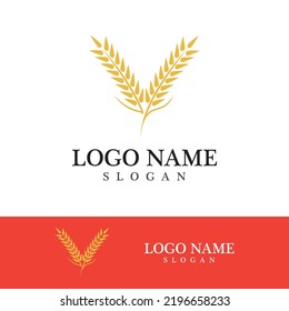 Diseño de iconos de vectores de trigo agrícola 