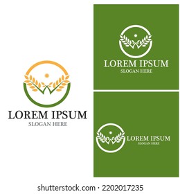 Agriculture wheat vector icon design 