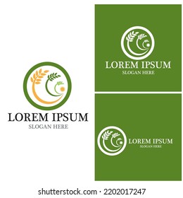 Agriculture wheat vector icon design 
