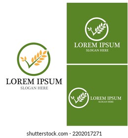 Diseño de iconos de vectores de trigo agrícola 