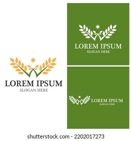 Agriculture wheat vector icon design 