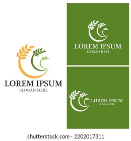 Agriculture wheat vector icon design 