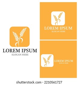Agriculture wheat vector icon design 