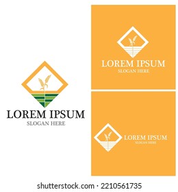 Agriculture wheat vector icon design 