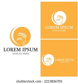 Agriculture wheat vector icon design 