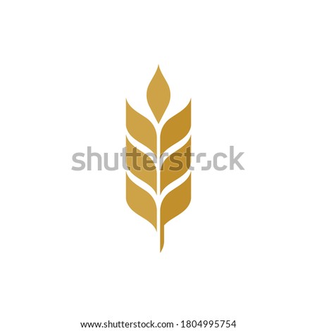 Agriculture wheat vector icon design illustration