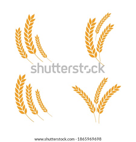 Agriculture wheat vector icon design 