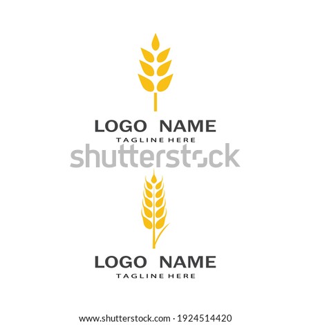 Agriculture wheat vector icon design 